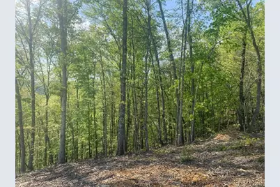 Lt 274 Canoe Way, Talking Rock, GA 30175 - Photo 28