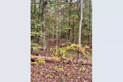 41 Foxfire Lane, Cartersville, GA 30120 - Photo 2