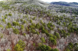 3428 Horseleg Creek Rd SW, Rome, GA 30165 - Photo 30