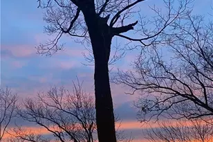 1911 Ridgeview Dr, Jasper, GA 30143 - Photo 22