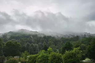 325 Scataway Rd, Hiawassee, GA 30546 - Photo 42