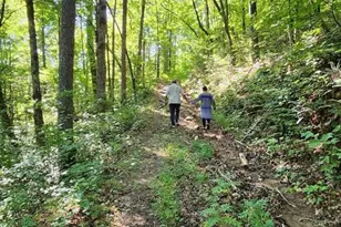 325 Scataway Rd, Hiawassee, GA 30546 - Photo 48