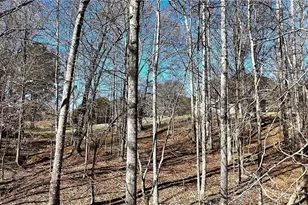 2977 Georgia Hwy 120, Tallapoosa, GA 30176 - Photo 10