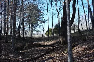 2977 Georgia Hwy 120, Tallapoosa, GA 30176 - Photo 44