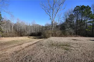 2977 Georgia Hwy 120, Tallapoosa, GA 30176 - Photo 52