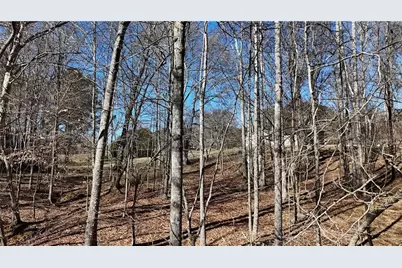 2977 Georgia Highway 120, Tallapoosa, GA 30176 - Photo 20