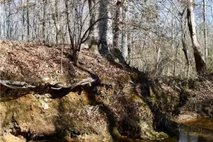 2977 Georgia Hwy 120, Tallapoosa, GA 30176 - Photo 42