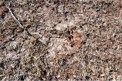 2977 Georgia Highway 120, Tallapoosa, GA 30176 - Photo 18