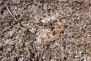 2977 Georgia Hwy 120, Tallapoosa, GA 30176 - Photo 18