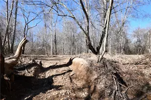 2977 Georgia Hwy 120, Tallapoosa, GA 30176 - Photo 12