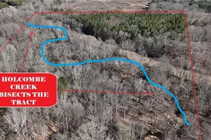 2977 Georgia Hwy 120, Tallapoosa, GA 30176 - Photo 30