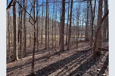 3183 Crippled Oak Trail, Jasper, GA 30143 - Photo 4