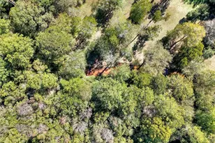 3889 Piney Brook Dr, Loganville, GA 30052 - Photo 36