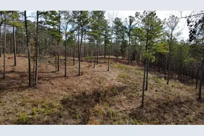 Lt 108 Blalock Mountain Road, Talking Rock, GA 30175 - Photo 6