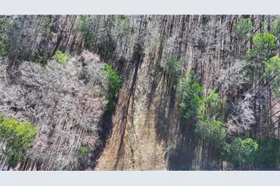 29 Saratoga Drive, Rydal, GA 30171 - Photo 14