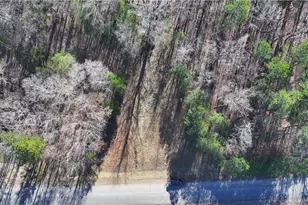 29 Saratoga Dr, Rydal, GA 30171 - Photo 1