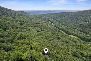 297 Fairview Ct, Jasper, GA 30143 - Photo 64