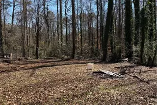 641 Spring Forest Dr, Lawrenceville, GA 30043 - Photo 10