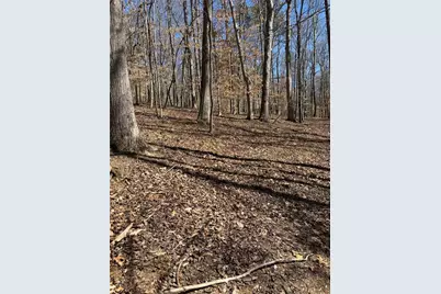 [Address not provided], Suwanee, GA 30024 - Photo 2