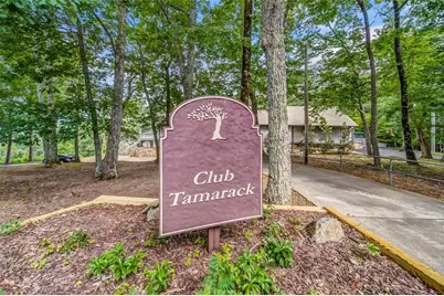 29 Long Swamp Drive, Jasper, GA 30143 - Photo 64