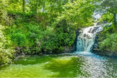 29 Long Swamp Drive, Jasper, GA 30143 - Photo 84