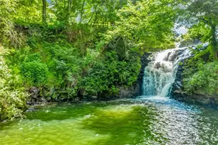 29 Long Swamp Dr, Jasper, GA 30143 - Photo 84