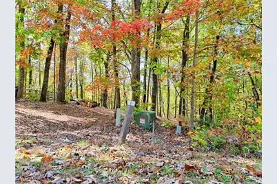 Lot 28 Long Mountain Road, Cleveland, GA 30528 - Photo 6