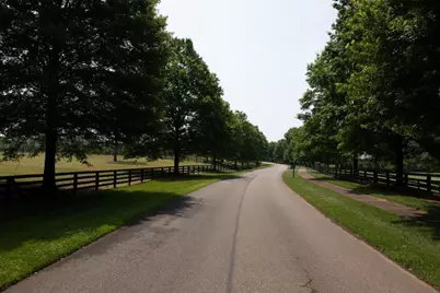 123 Woodhaven Lane, Ball Ground, GA 30107 - Photo 18