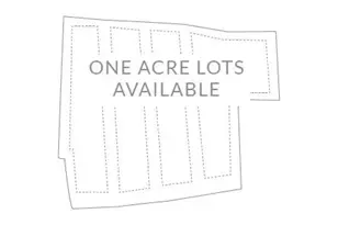 542 Palm St, Holly Springs, GA 30115 - Photo 4