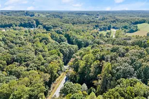 12 Katydid Ln, Murrayville, GA 30564 - Photo 48