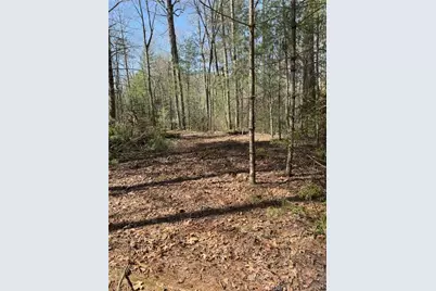 0 Bartox Drive, Ellijay, GA 30540 - Photo 24