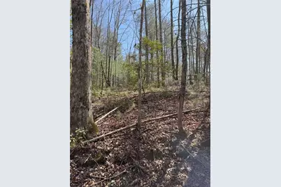 0 Bartox Drive, Ellijay, GA 30540 - Photo 30