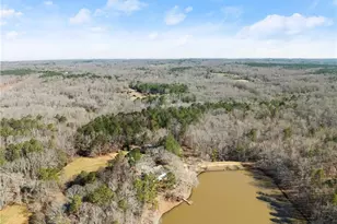 3845 S Hwy 82, Statham, GA 30666 - Photo 68