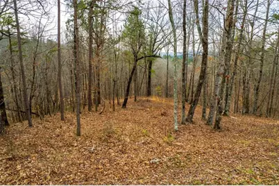 Lot 44 Bucktail Way, Talking Rock, GA 30175 - Photo 8
