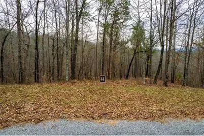 Lot 44 Bucktail Way, Talking Rock, GA 30175 - Photo 4