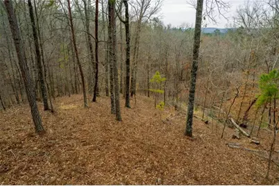 Lot 44 Bucktail Way, Talking Rock, GA 30175 - Photo 10