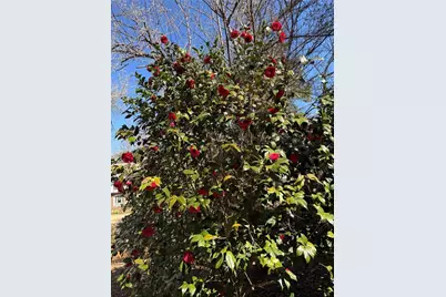 2095 Shallowford Park Manor, Roswell, GA 30075 - Photo 46