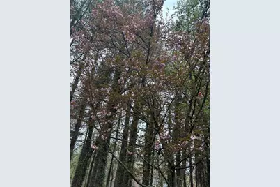 2095 Shallowford Park Manor, Roswell, GA 30075 - Photo 48