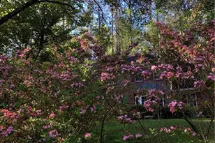 2095 Shallowford Park Manor, Roswell, GA 30075 - Photo 42