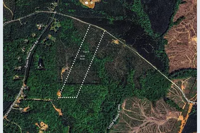 Tract 9 Horsley Mill Road, Carrollton, GA 30116 - Photo 1