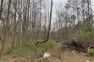 247 Tatum Rd, Talking Rock, GA 30175 - Photo 24