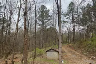 247 Tatum Rd, Talking Rock, GA 30175 - Photo 4