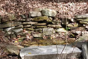 392 Beaver Ridge Rd, Jasper, GA 30143 - Photo 40