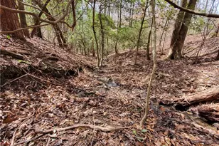 392 Beaver Ridge Rd, Jasper, GA 30143 - Photo 44