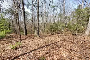 392 Beaver Ridge Rd, Jasper, GA 30143 - Photo 28