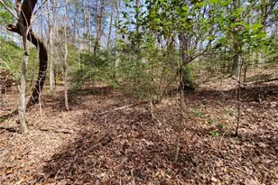 392 Beaver Ridge Rd, Jasper, GA 30143 - Photo 48