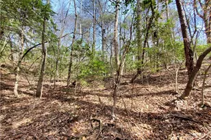 392 Beaver Ridge Rd, Jasper, GA 30143 - Photo 46