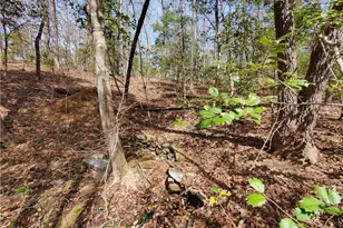 392 Beaver Ridge Rd, Jasper, GA 30143 - Photo 36