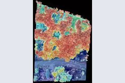 3060 Holly Springs Parkway, Canton, GA 30115 - Photo 22