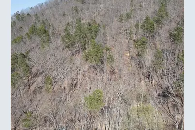 1135 Embry Court, Ranger, GA 30734 - Photo 6